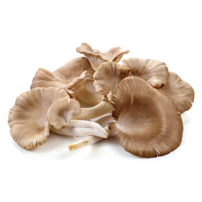 Oyster Mushroom 100g
